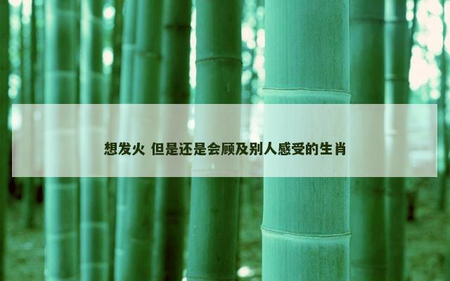 想发火 但是还是会顾及别人感受的生肖