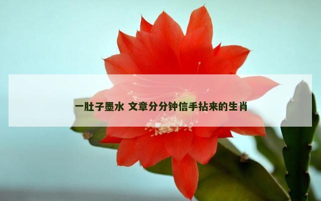 一肚子墨水 文章分分钟信手拈来的生肖