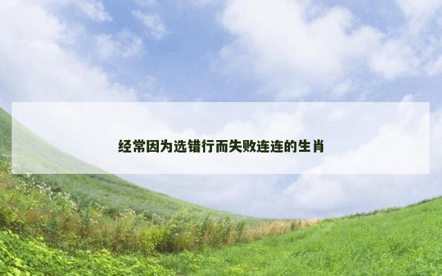 经常因为选错行而失败连连的生肖