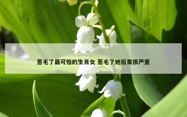 惹毛了最可怕的生肖女 惹毛了她后果很严重