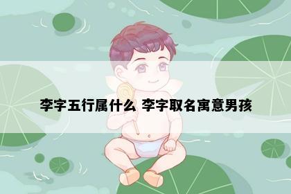 李字五行属什么 李字取名寓意男孩