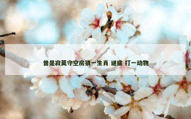 曾是寂莫守空房猜一生肖 谜底 打一动物