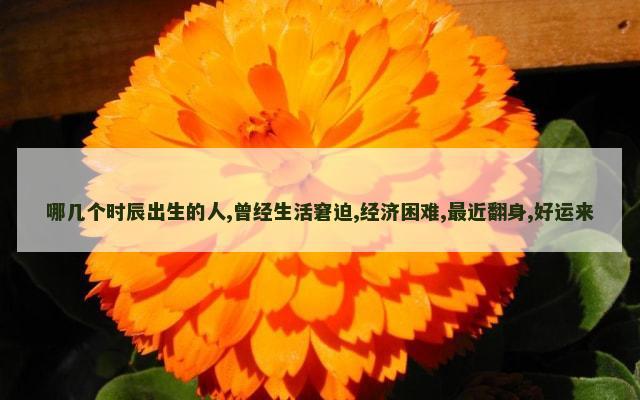 哪几个时辰出生的人,曾经生活窘迫,经济困难,最近翻身,好运来