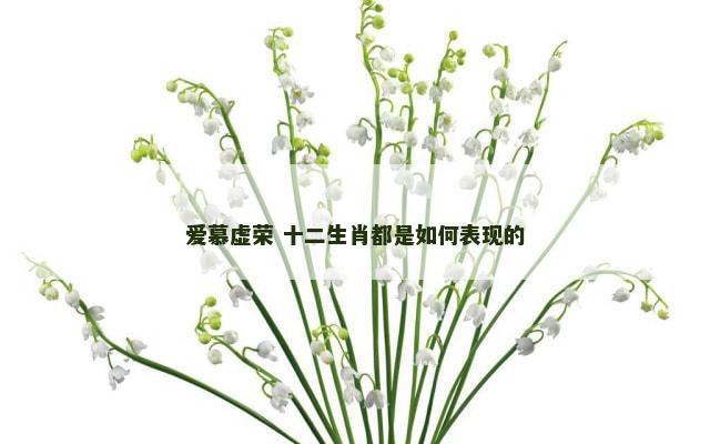 爱慕虚荣 十二生肖都是如何表现的