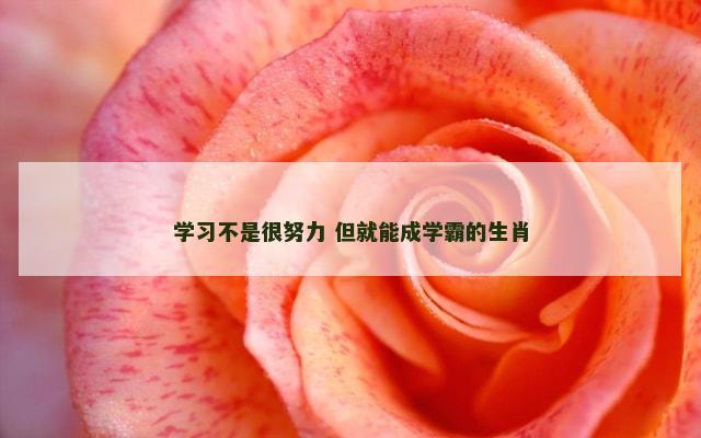 学习不是很努力 但就能成学霸的生肖