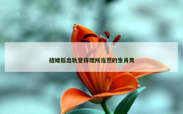 结婚后出轨觉得理所当然的生肖男
