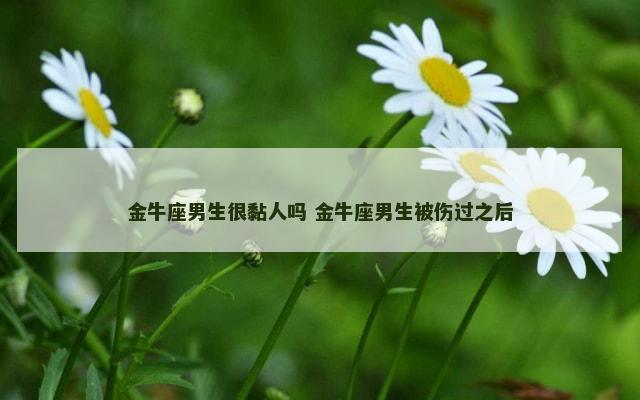 金牛座男生很黏人吗 金牛座男生被伤过之后