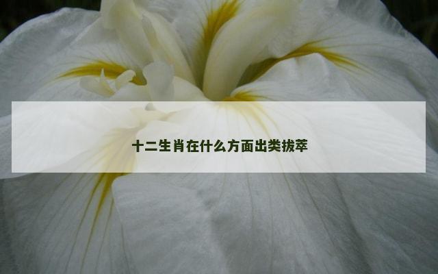 十二生肖在什么方面出类拔萃