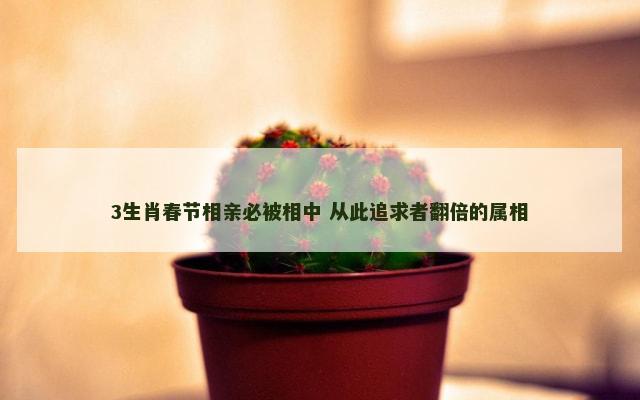 3生肖春节相亲必被相中 从此追求者翻倍的属相