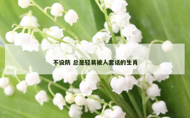 不设防 总是轻易被人套话的生肖