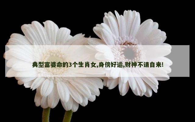 典型富婆命的3个生肖女,身傍好运,财神不请自来!