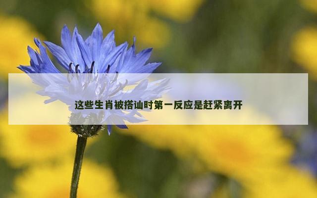 这些生肖被搭讪时第一反应是赶紧离开