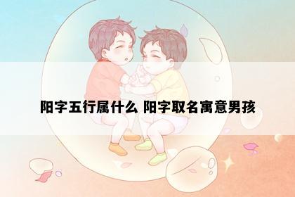阳字五行属什么 阳字取名寓意男孩