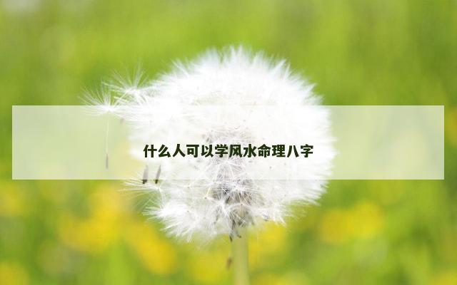什么人可以学风水命理八字