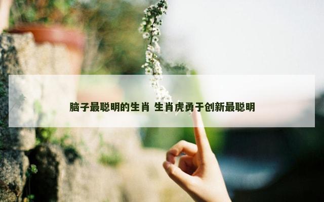 脑子最聪明的生肖 生肖虎勇于创新最聪明