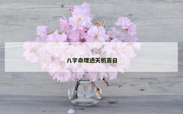 八字命理透天机吉日