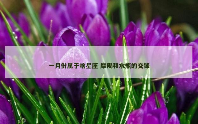 一月份属于啥星座 摩羯和水瓶的交锋