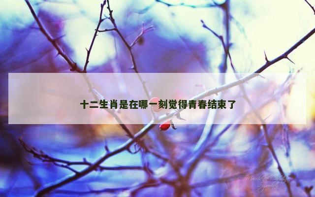 十二生肖是在哪一刻觉得青春结束了