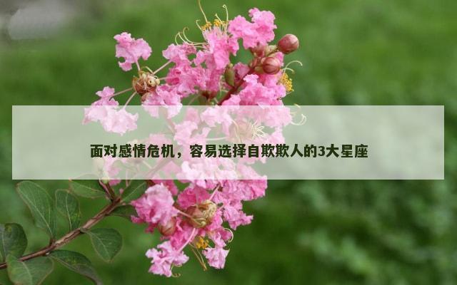 面对感情危机，容易选择自欺欺人的3大星座