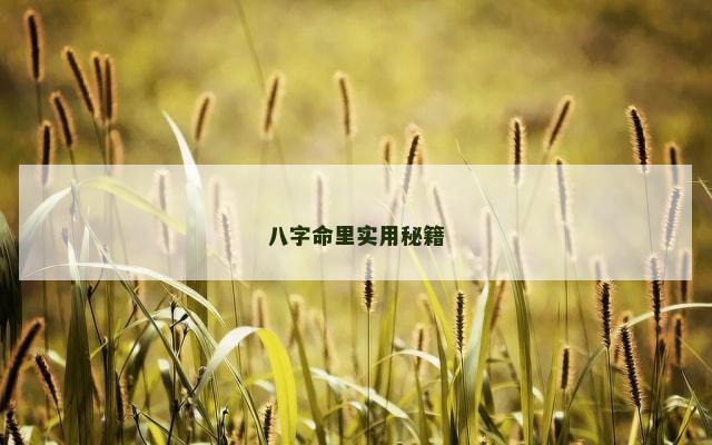 八字命里实用秘籍