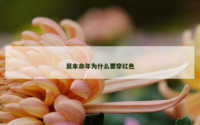 鼠本命年为什么要穿红色