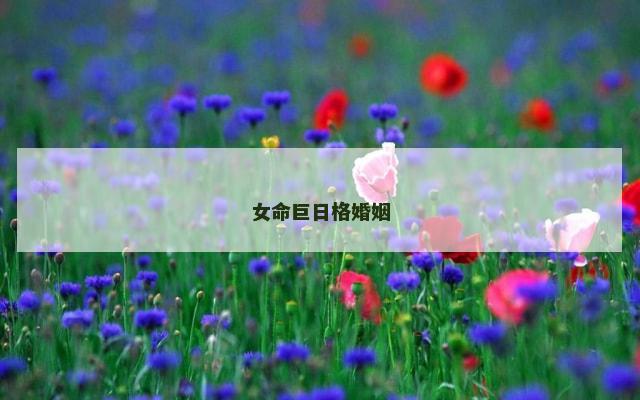 女命巨日格婚姻