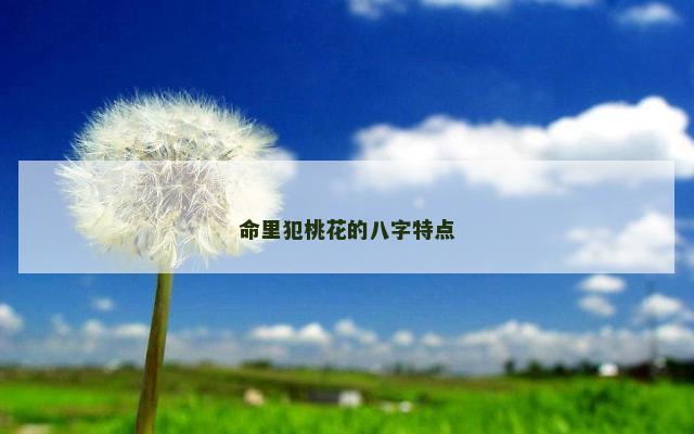命里犯桃花的八字特点