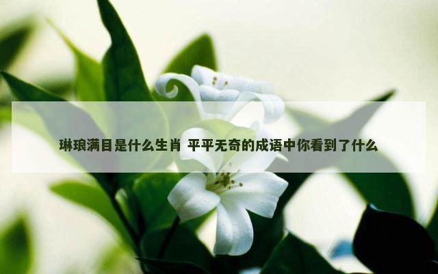 琳琅满目是什么生肖 平平无奇的成语中你看到了什么