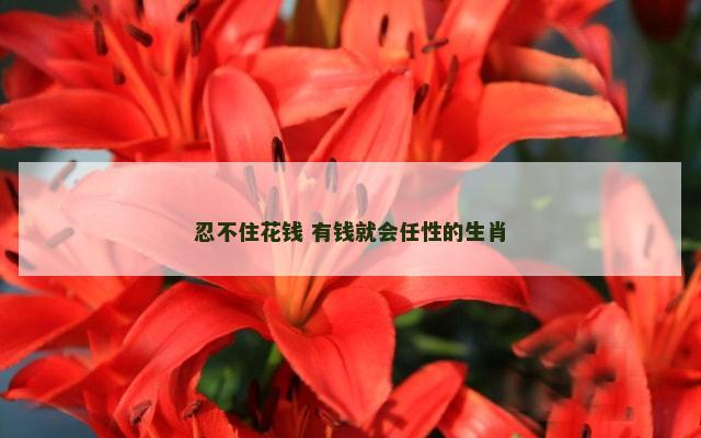 忍不住花钱 有钱就会任性的生肖