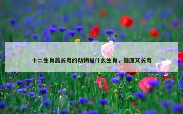 十二生肖最长寿的动物是什么生肖，健康又长寿