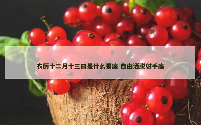 农历十二月十三日是什么星座 自由洒脱射手座