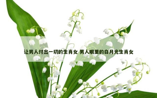 让男人付出一切的生肖女 男人眼里的白月光生肖女