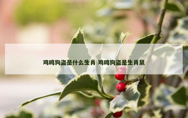 鸡鸣狗盗是什么生肖 鸡鸣狗盗是生肖鼠