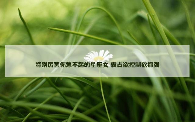 特别厉害你惹不起的星座女 霸占欲控制欲都强