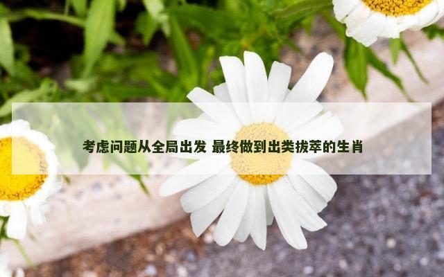 考虑问题从全局出发 最终做到出类拔萃的生肖