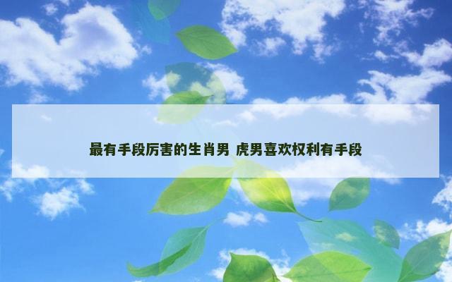 最有手段厉害的生肖男 虎男喜欢权利有手段