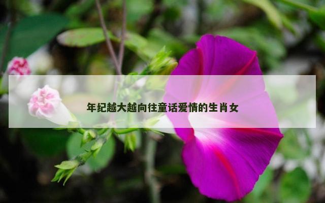 年纪越大越向往童话爱情的生肖女