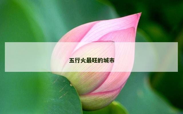五行火最旺的城市