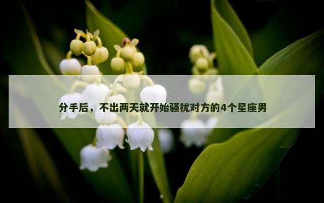 分手后，不出两天就开始骚扰对方的4个星座男