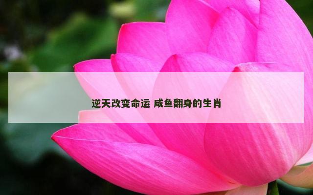 逆天改变命运 咸鱼翻身的生肖