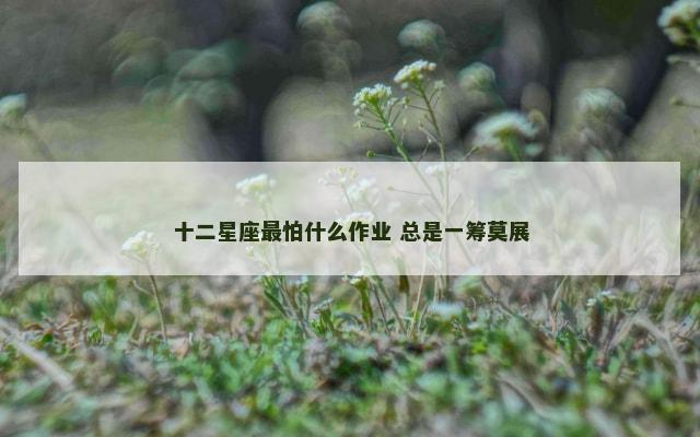 十二星座最怕什么作业 总是一筹莫展