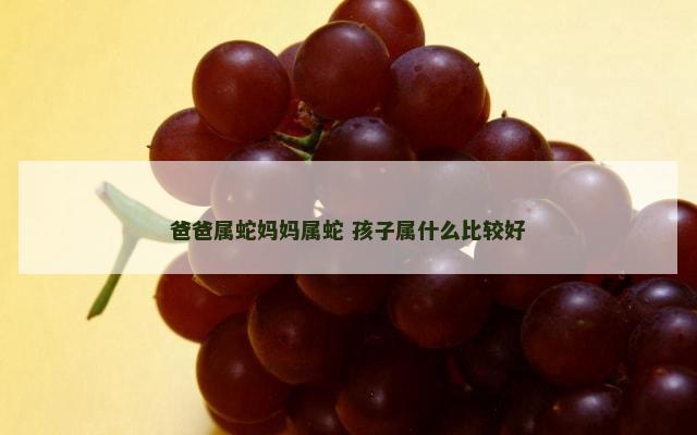 爸爸属蛇妈妈属蛇 孩子属什么比较好