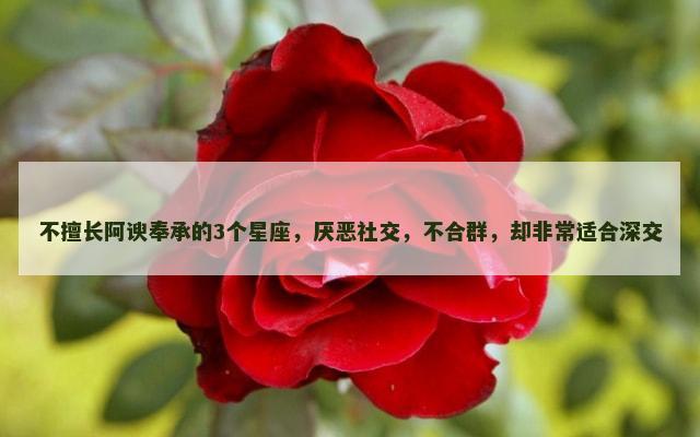 不擅长阿谀奉承的3个星座，厌恶社交，不合群，却非常适合深交