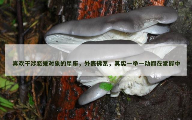 喜欢干涉恋爱对象的星座，外表佛系，其实一举一动都在掌握中