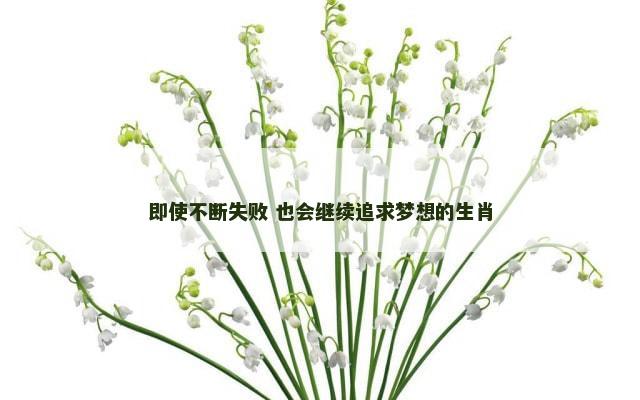 即使不断失败 也会继续追求梦想的生肖