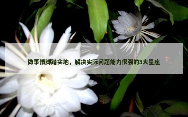做事情脚踏实地，解决实际问题能力很强的3大星座
