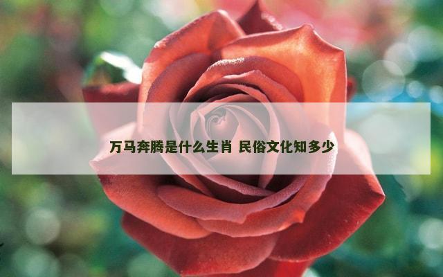 万马奔腾是什么生肖 民俗文化知多少