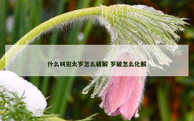什么叫犯太岁怎么破解 岁破怎么化解