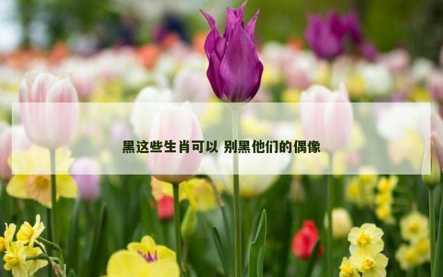 黑这些生肖可以 别黑他们的偶像
