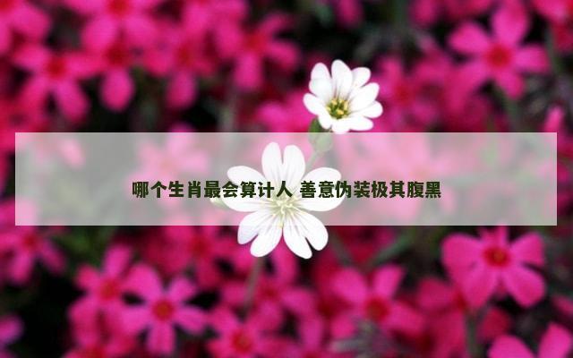 哪个生肖最会算计人 善意伪装极其腹黑